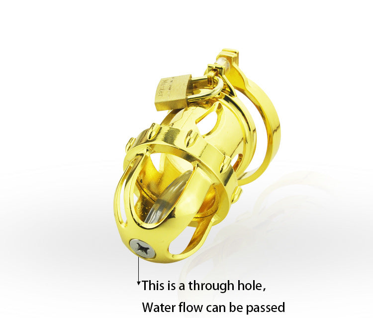 Golden Chastity Cage with Catheter Tube - image 3