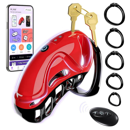 Chastity Sex Toys With 5 Sizes Rings 2 Keys & 1 Lock - Red & Black - image 4