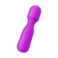 The Eva Vibrator Wand Sexual Massager - Purple - image 5