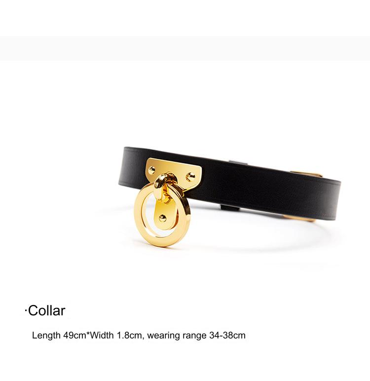 SM Restraints Gold Spreader Bar with Collar - image 5
