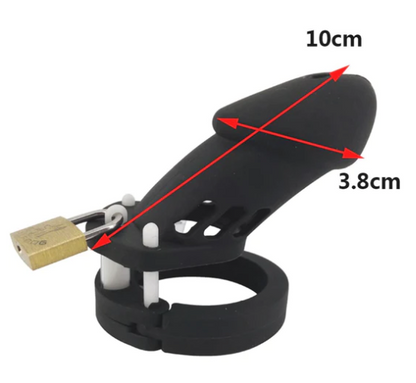 Chastity Cage Chastity Belt - image 1
