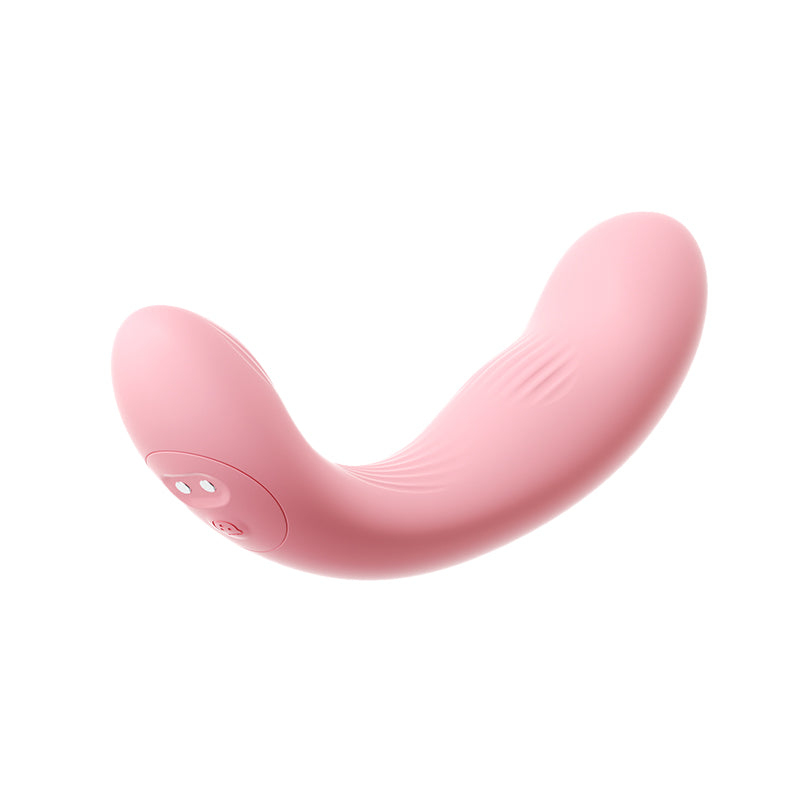 Papa Bear - image 4
