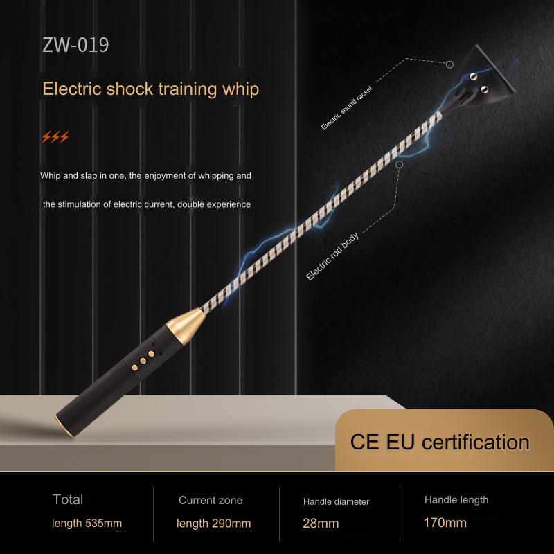 SM Electric Spank Flogger Whip  - Whip - image 1