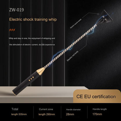 SM Electric Spank Flogger Whip  - Whip - image 1