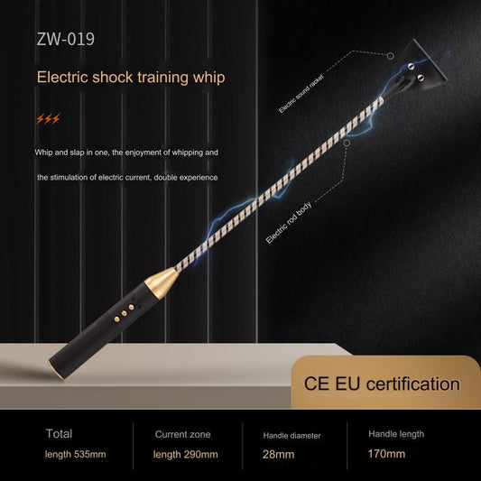 SM Electric Spank Flogger Whip  - Whip - image 1