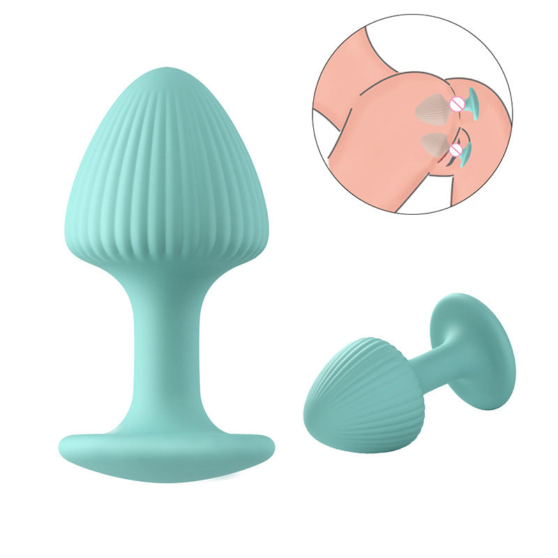 Anal Training Kit Butt Plugs - image 4