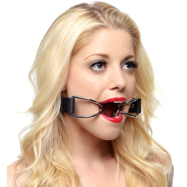 Leather Hollow Mouth Gags - image 0