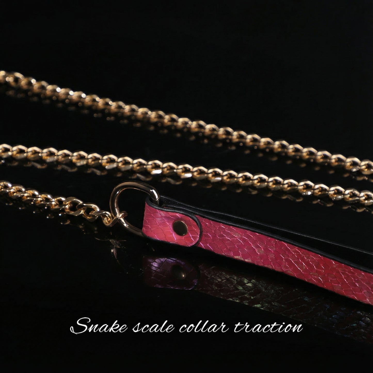 Snake Skin Texture Collar & Leash Set - image 7