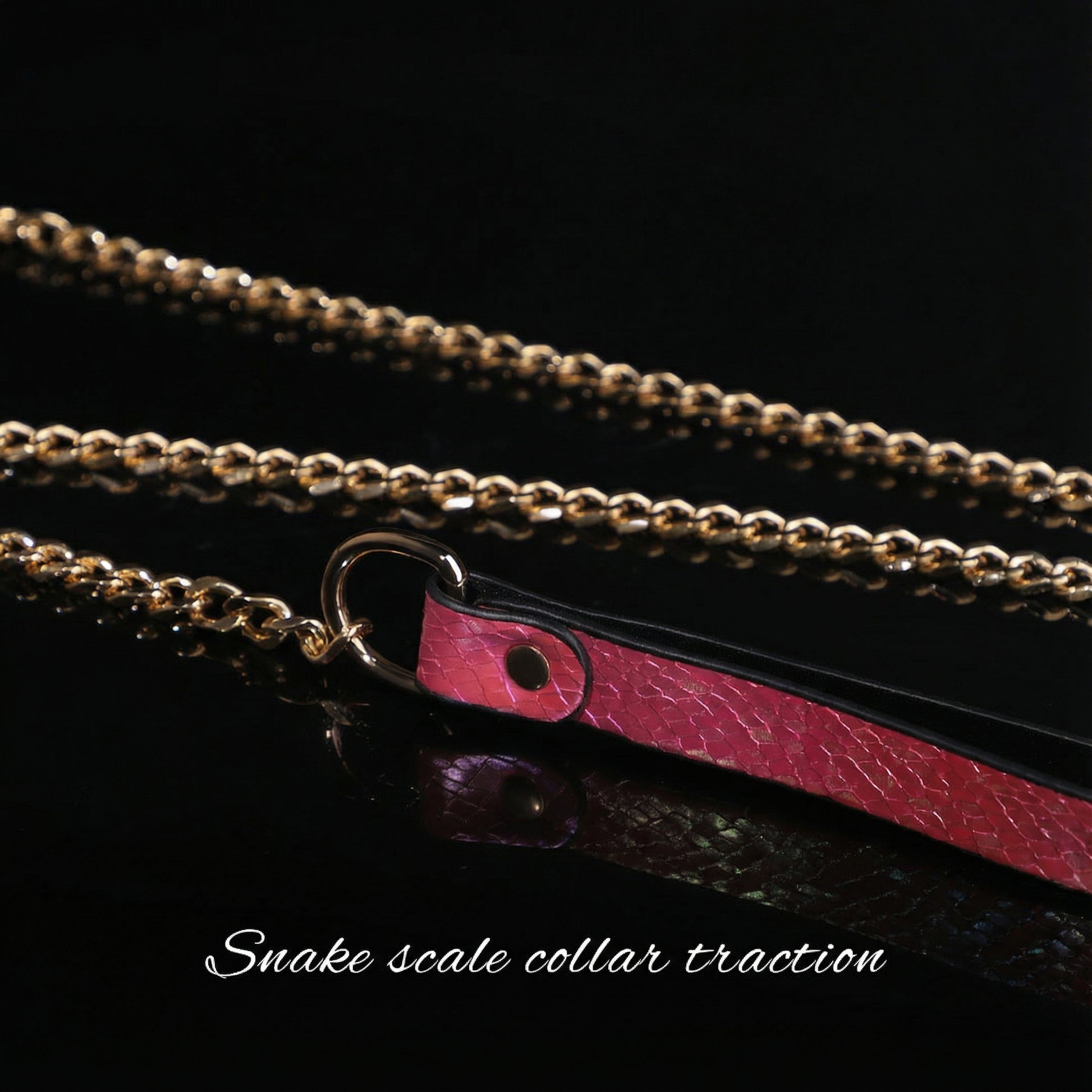 Snake Skin Texture Collar & Leash Set - image 7