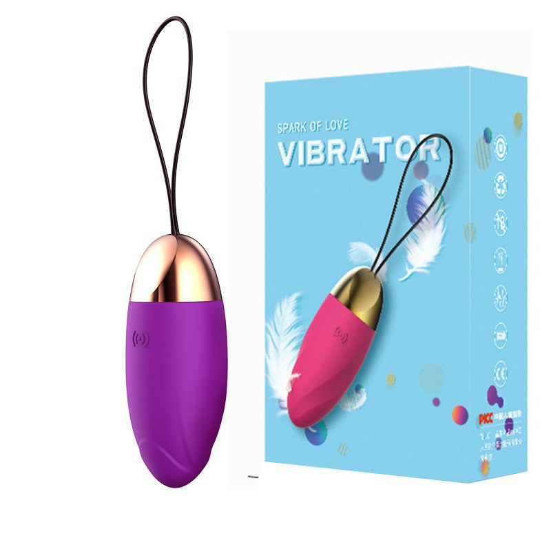 10 Modes G Spot Clit Vibrator Egg - Purple - image 1