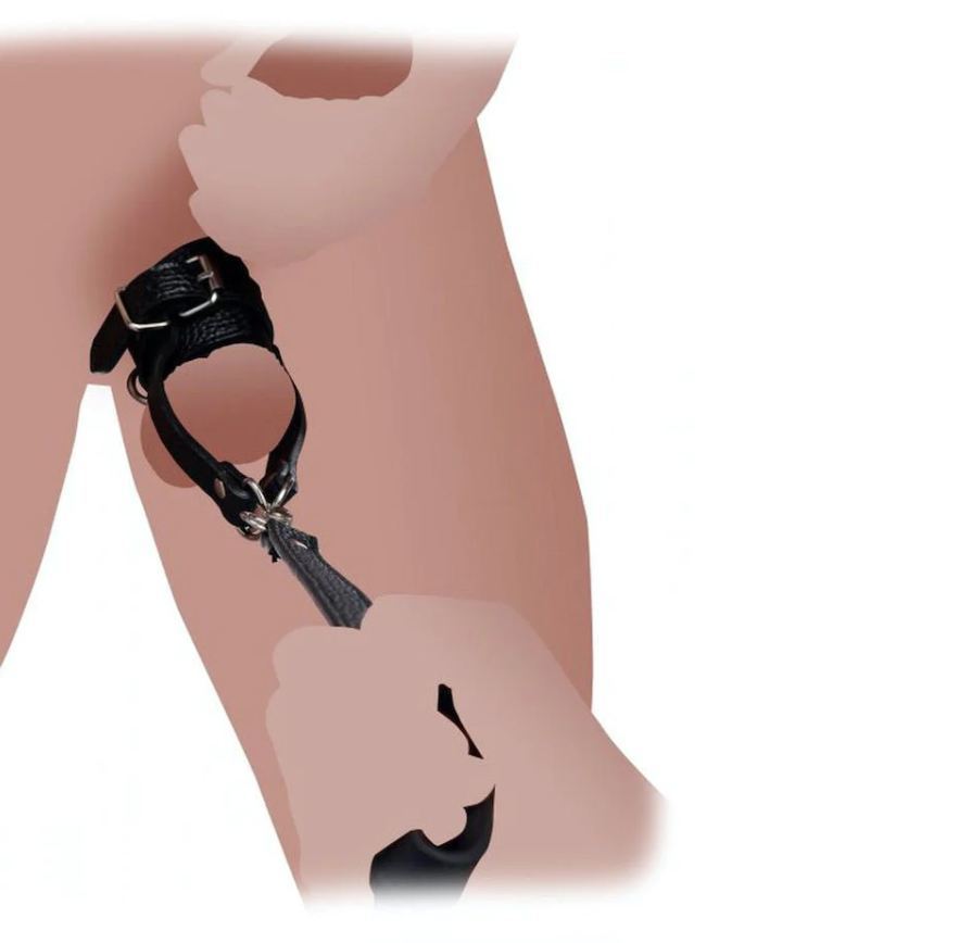 Penis Balls on Leash CBT Bondage  - image 3