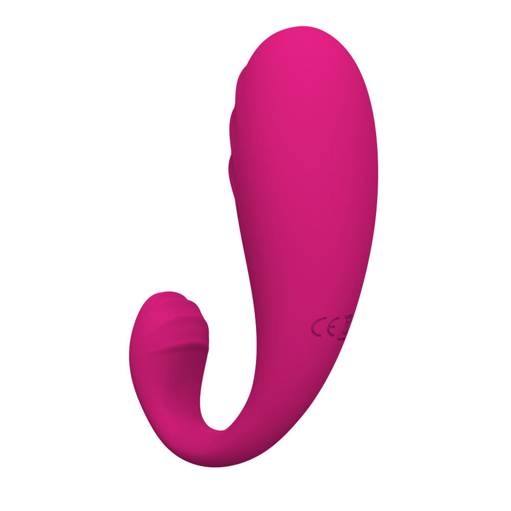 Dual Motor Vibrator for Vaginal & Clitoral Stimulation – Rechargeable & Body-Safe - image 0