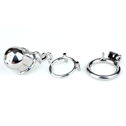 Ch39 - Dome Prince Albert Chastity - image 1