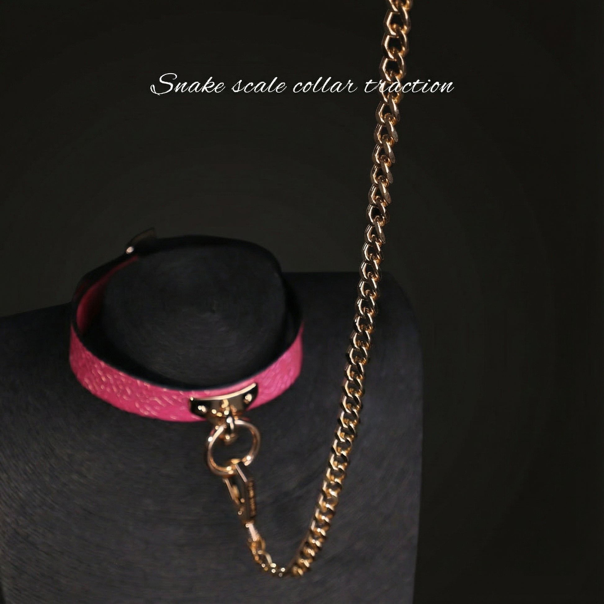 Snake Skin Texture Collar & Leash Set - image 9