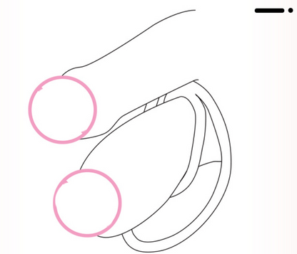 Metal Skeleton Foreskin Clip Penis Clamp Toy - image 2