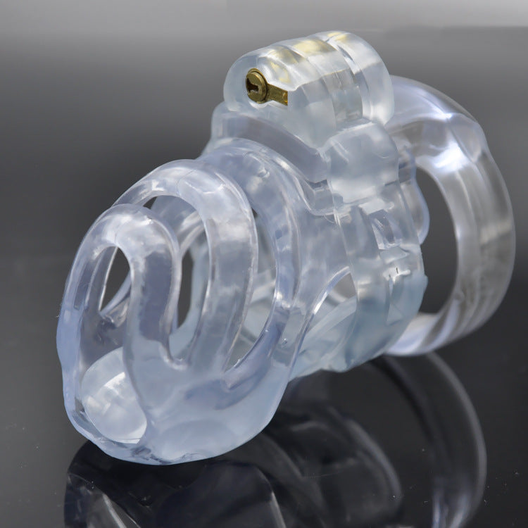 Total Denial Chastity Cage - Transparent - image 2