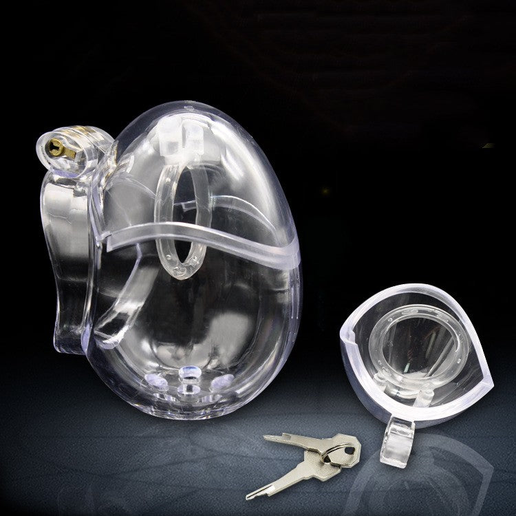 Large Egg Cock And Balls Chastity Cage - without ring spikes - diameter 52mm - image 2