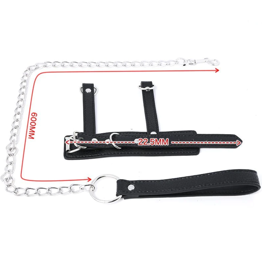 Penis Balls on Leash CBT Bondage  - image 1