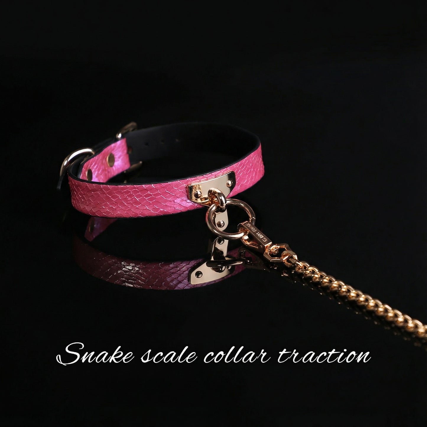 Snake Skin Texture Collar & Leash Set - image 6
