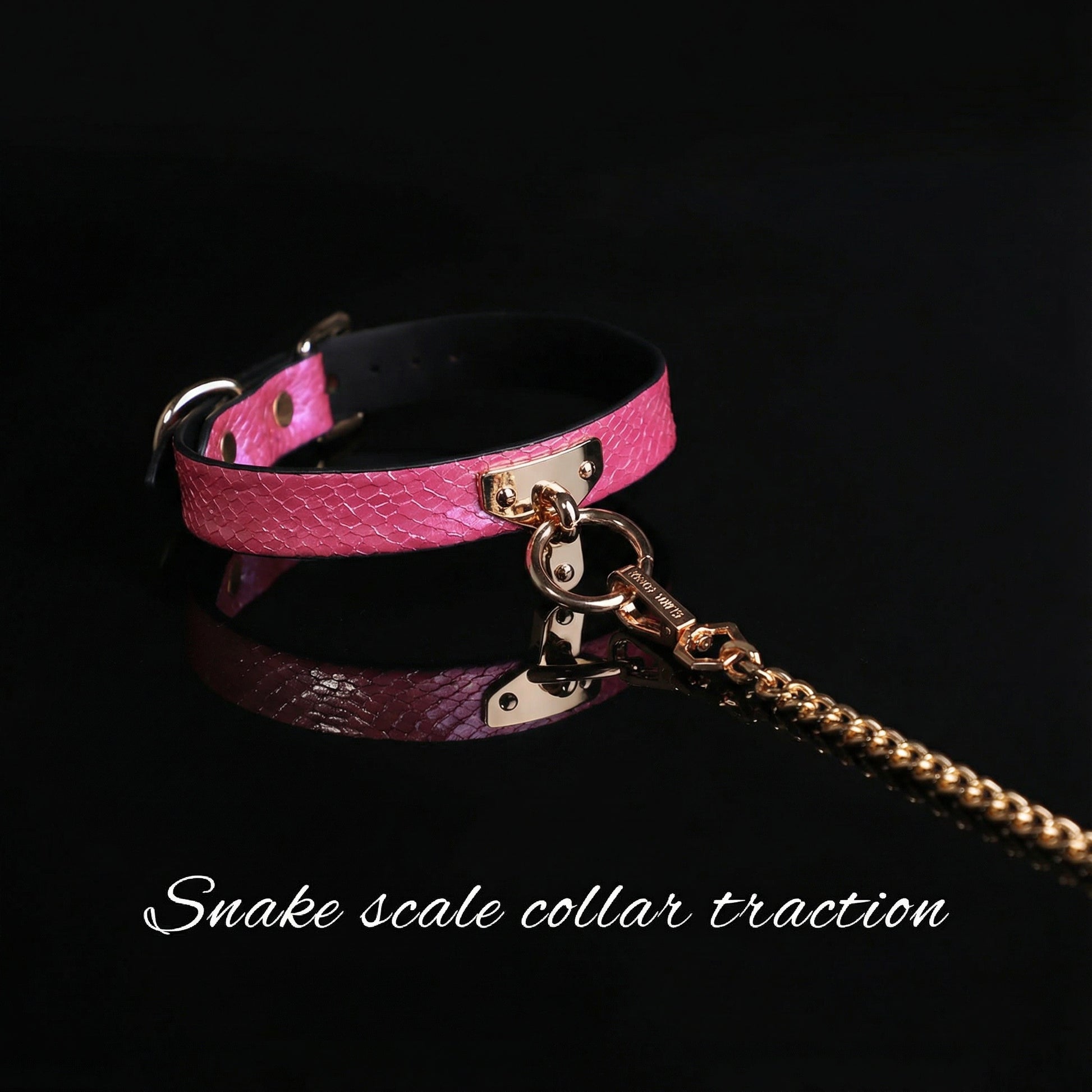 Snake Skin Texture Collar & Leash Set - image 6