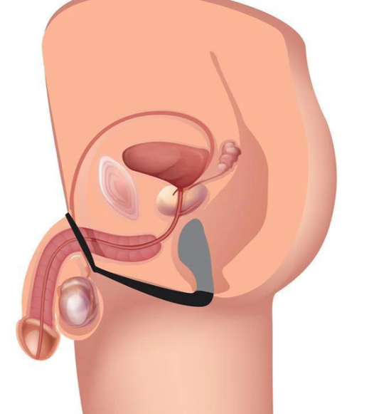 Prostate Stimulator Cock Ring - image 1