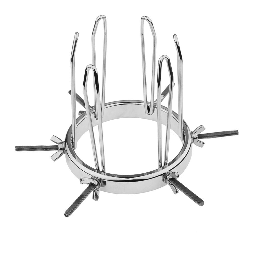 Oculus Stainless Steel Speculums Anal Virginal Explorer - image 1