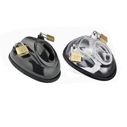 Solitary Confinement Chastity Cage - image 0