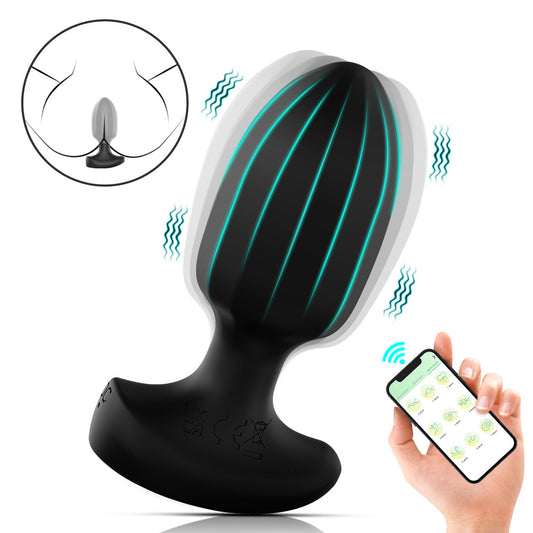 App-Controlled Vibrating Butt Plug - Black - image 0