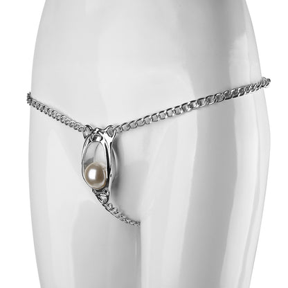 Female Chastity Devices with Metal Lock - image 3