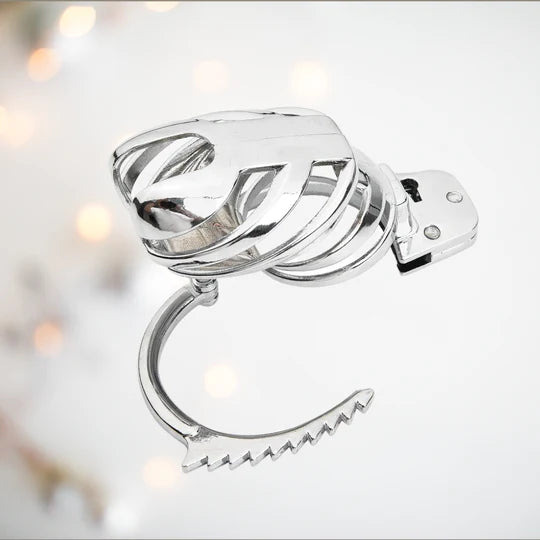 Slave Restraint Trainer Chastity Cage with Adjustable Ring - image 1