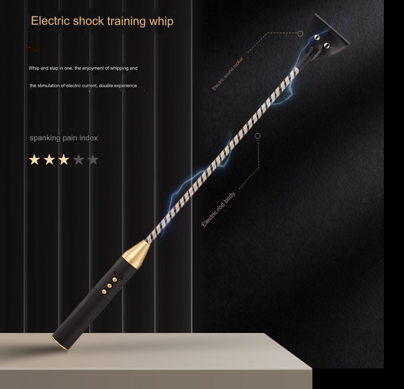 SM Electric Spank Flogger Whip  - image 13