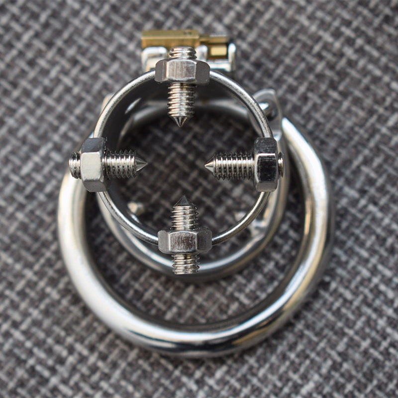 Polished Stainless Steel Chastity - image 4