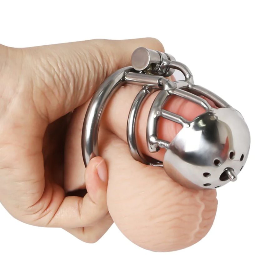 Ch39 - Dome Prince Albert Chastity - image 3