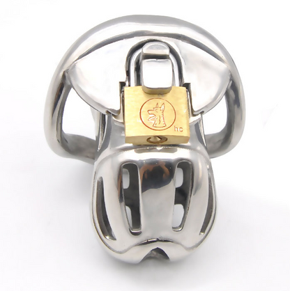 Stainless Steel Sissy Chastity Cage - image 1