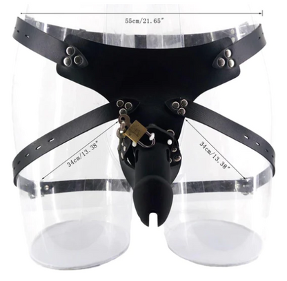 Chastity Cage Chastity Belt - image 3
