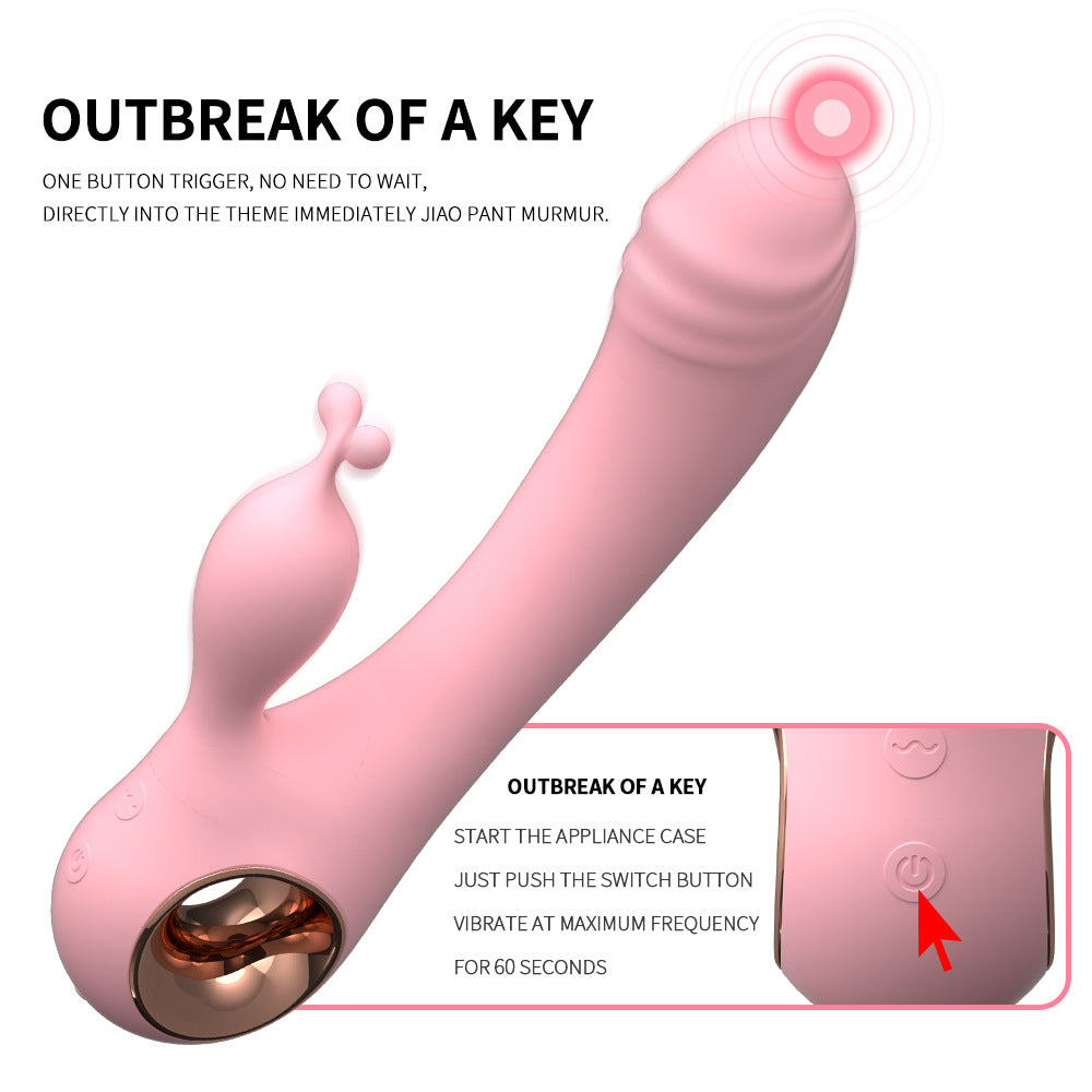 Rabbit Duet Vibrator for Women with 10 Vibration Modes Clitoris G-spot Stimulation - image 3