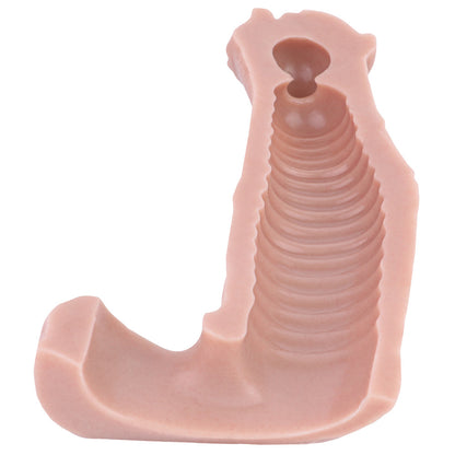 Realistic Penis Sleeve Extender With Secure Scrotum Ring - image 1