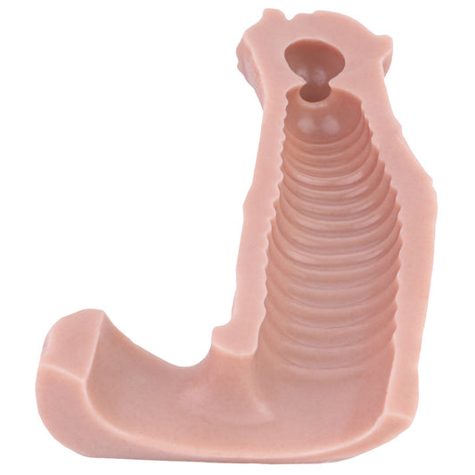 Realistic Penis Sleeve Extender With Secure Scrotum Ring - image 1