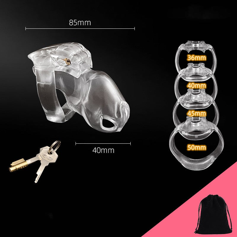Transparent Chastity Cage Includes 4 Rings - Small - image 2
