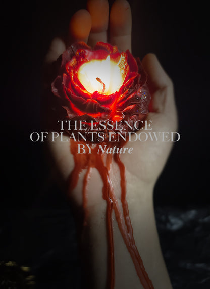 Peony Rose Flow-Core Wax Drip - image 8