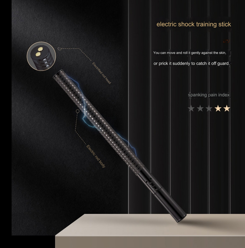 SM Electric Spank Flogger Whip  - image 14