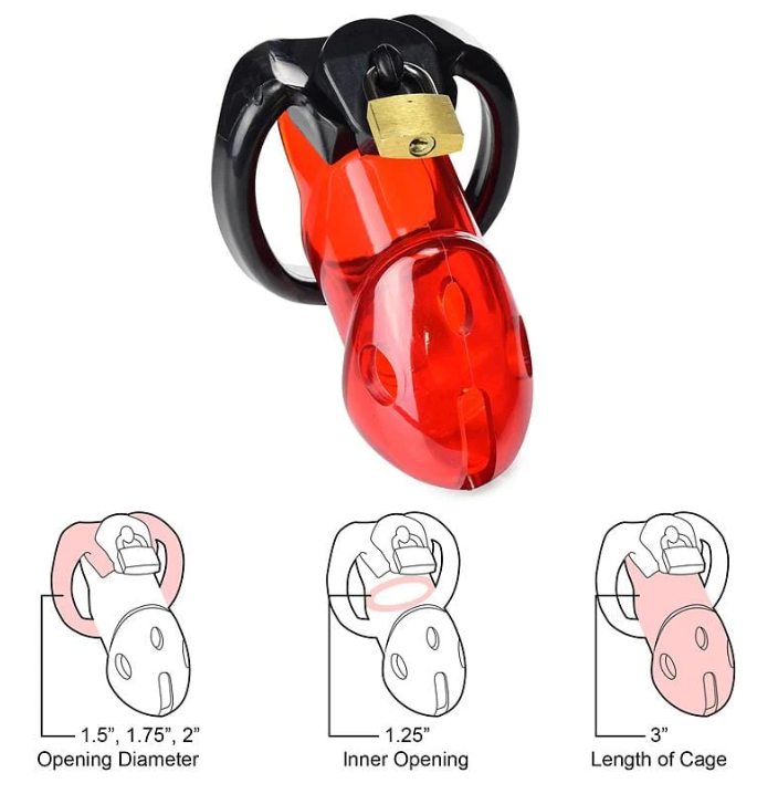 Caught Red Handed Locking Cock & Ball Chastity Set - MEGA Deal - image 4