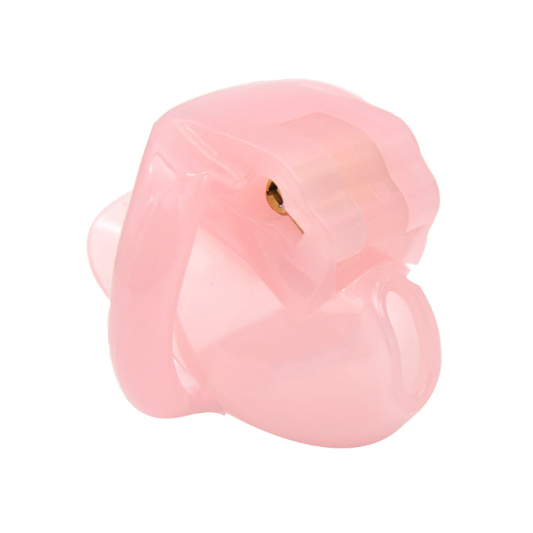 HOLY TRAINER V4 Sissy Chastity Cage for Male - Pink - image 0