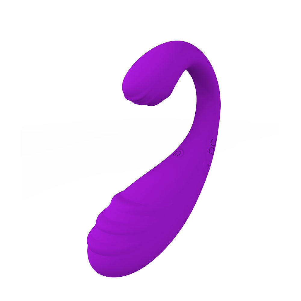 Dual Motor Vibrator for Vaginal & Clitoral Stimulation – Rechargeable & Body-Safe - Purple - image 8