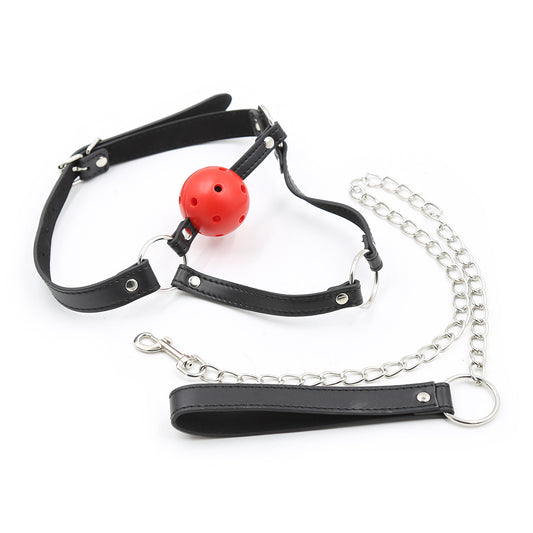 SM Mouth Gag with Leash - Red Ball - image 1