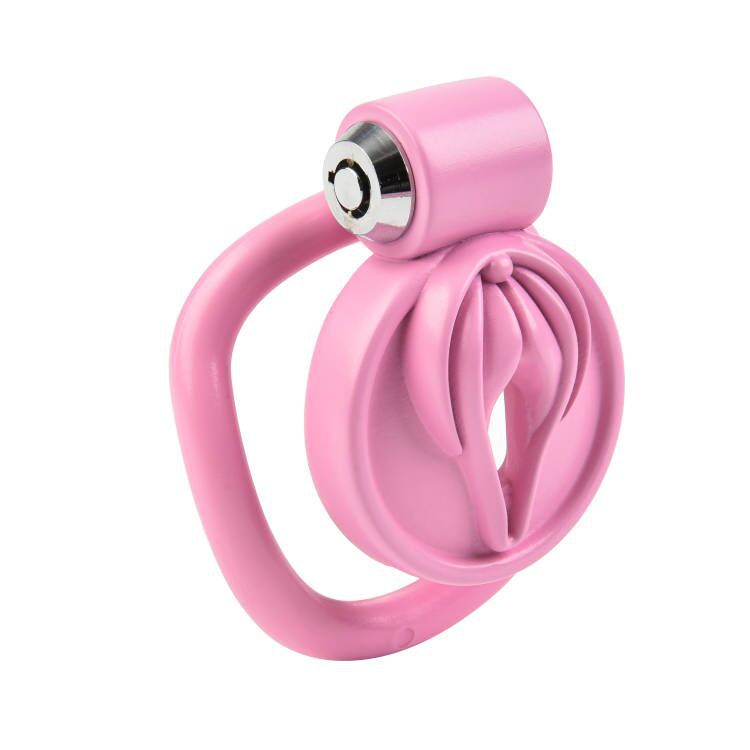 Sissy Play Chastity Cage with 4 Rings - image 1