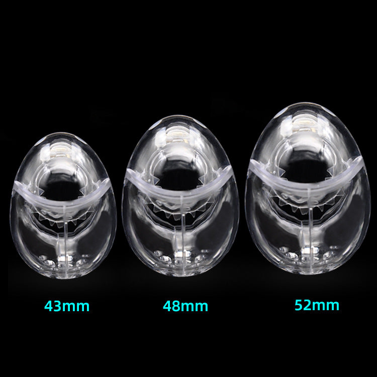 Large Egg Cock And Balls Chastity Cage - image 5