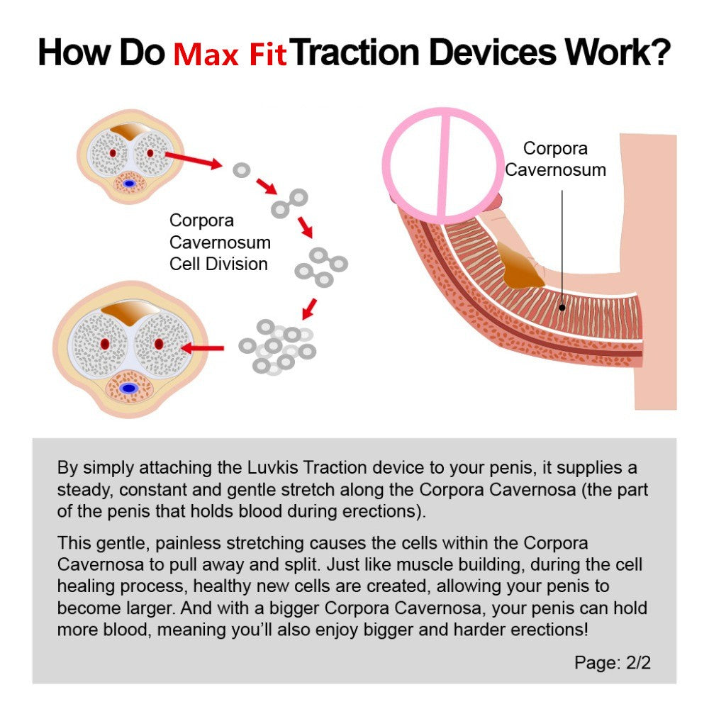 Penis Stretcher Erection Trainer - image 7