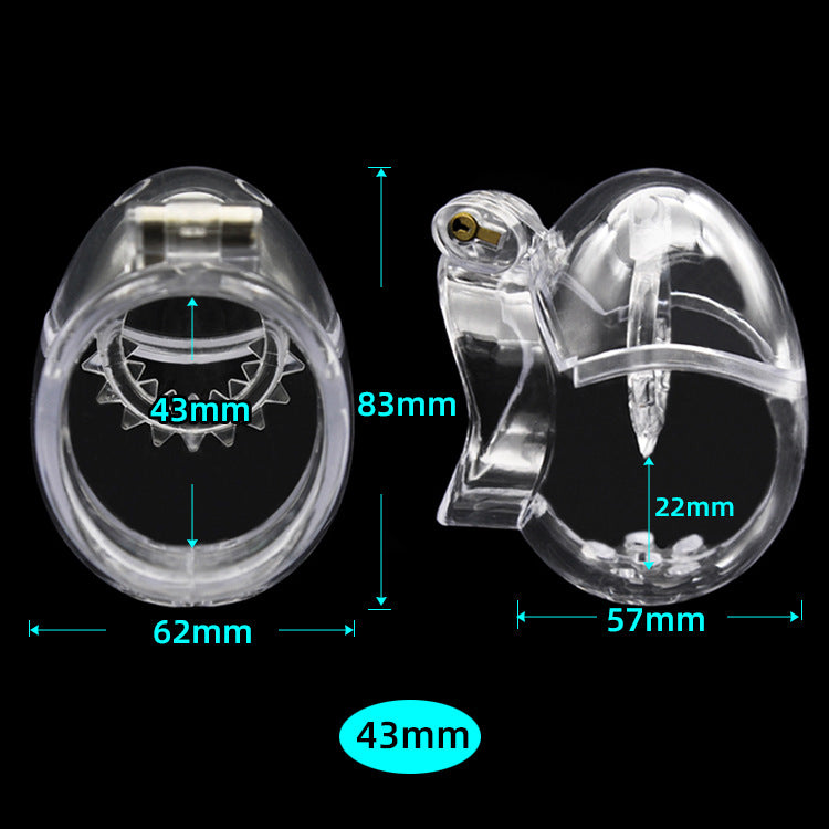 Large Egg Cock And Balls Chastity Cage - with ring spikes - diameter 43mm - image 3
