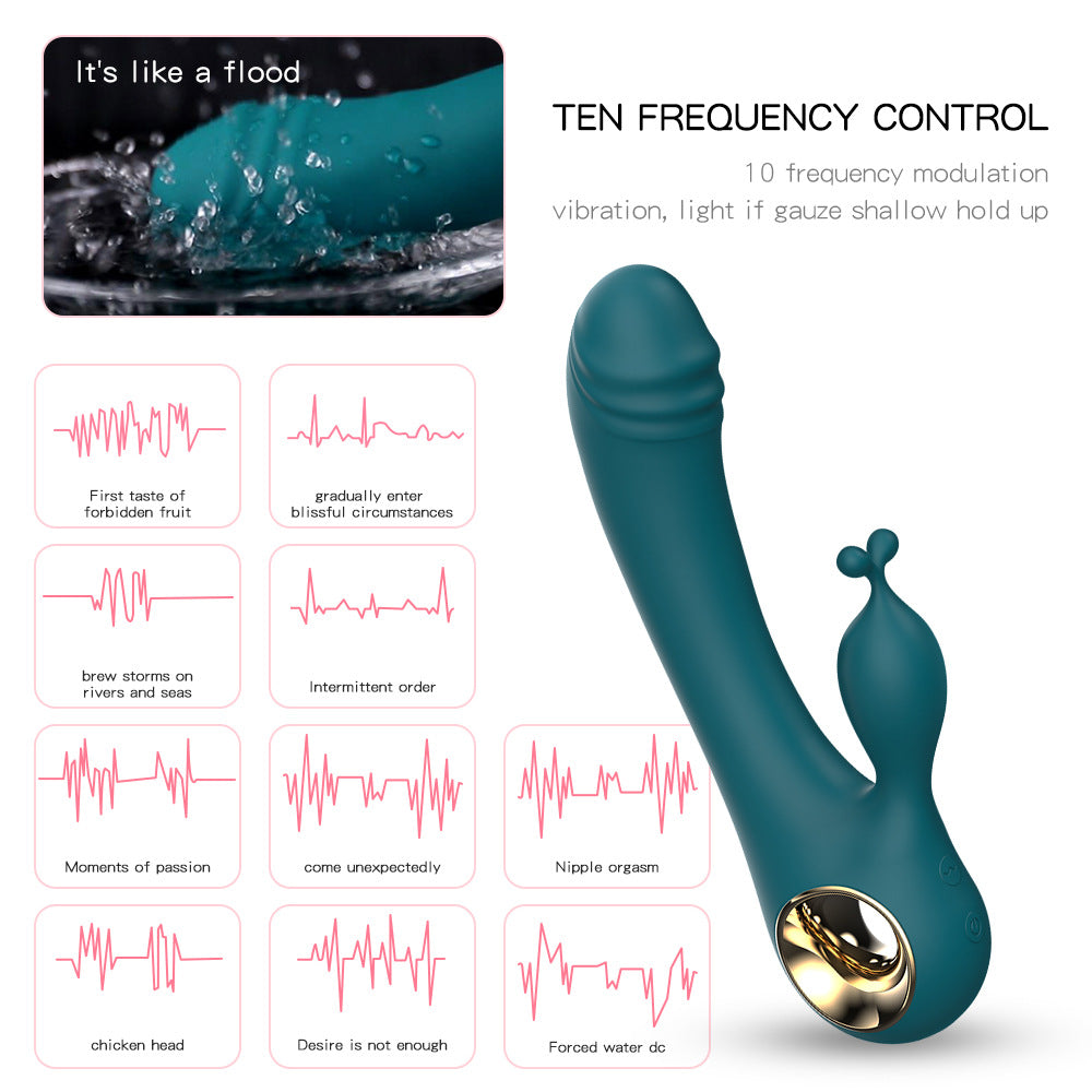 Rabbit Duet Vibrator for Women with 10 Vibration Modes Clitoris G-spot Stimulation - image 4